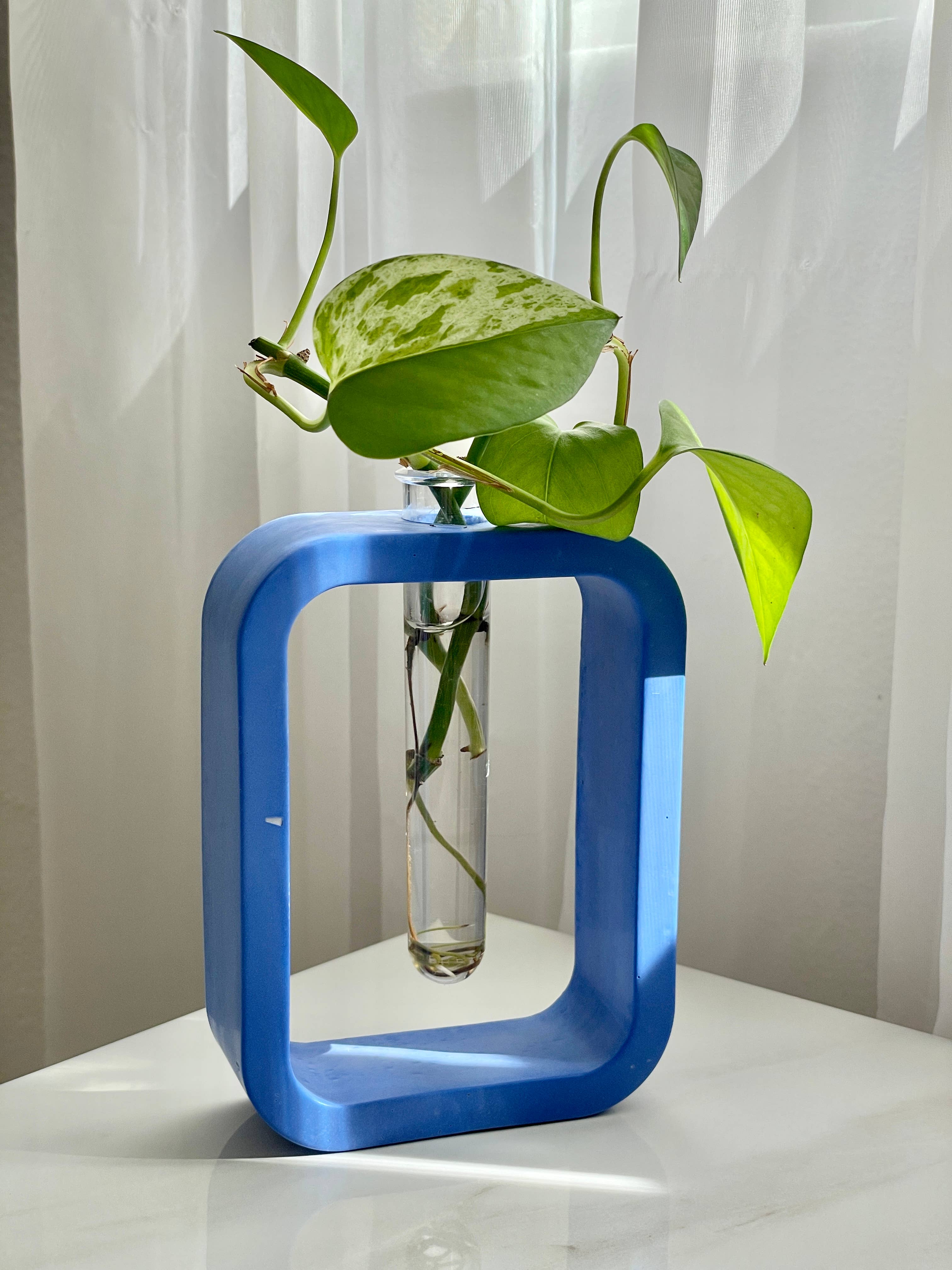 Plant Propagation Cement Station/Vase [Colored]: Blush